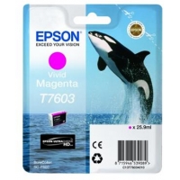 Epson T7603 Magenta Cartucho original C13T76034010