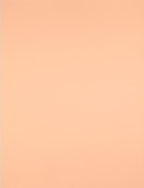 Imagen extra PACK 25 Cartulinas 50x65 cm 180gr SEPIA. 