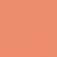 Pack 25 Cartulinas Iris 185g 50x65cm Coral Canson