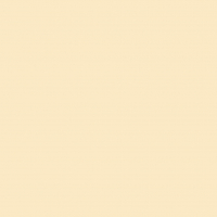 Pack 25 Cartulinas Iris 185g 50x65cm Cascara Huevo Canson