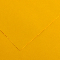 Pack 25 Cartulinas Iris 185g 50x65cm Gualda Canson