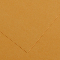 Pack 25 Cartulinas Iris 185g 50x65cm Cuero Canson