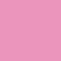 Pack 25 Cartulinas Iris 185g 50x65cm Rosa Chicle Canson