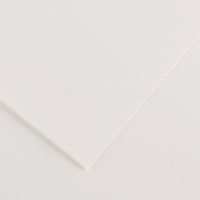 Pack 25 Cartulinas Iris 185g 50x65cm Blanco Canson