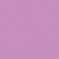 Pack 25 Cartulinas Iris 185g 50x65cm Malva Canson