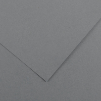 Pack 25 Cartulinas Iris 185g 50x65cm Gris Plomo Canson