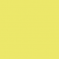 Pack 25 Cartulinas Iris 185g 50x65cm Kiwi Canson