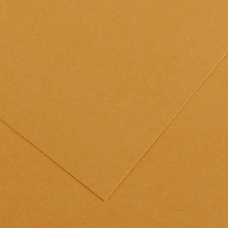 Pack 25 Cartulinas Iris 185g 50x65cm Cuero Canson