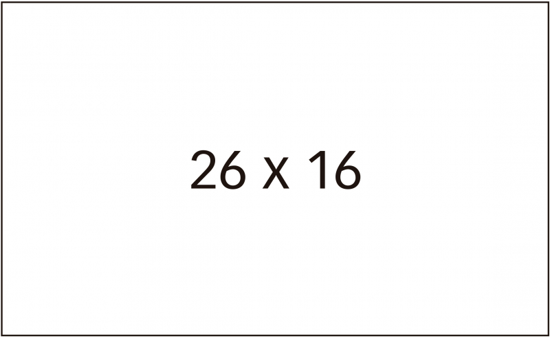 PACK 6 Rollos Apli Etiquetas Blancas 26x16mm Permanentes para Etiquetadoras de Precios de 2 Lineas