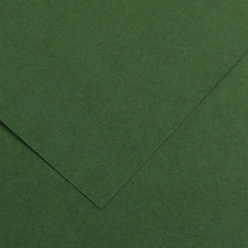 Pack 25 Cartulinas Iris 185g 50x65cm Verde Amazonas Canson