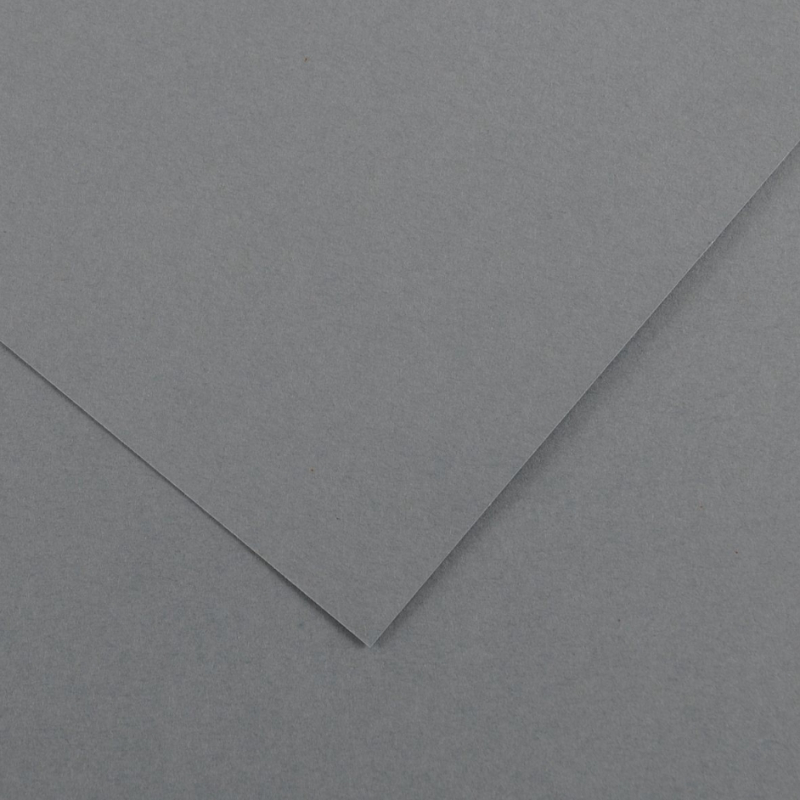 Pack 25 Cartulinas Iris 185g 50x65cm Gris Plomo Canson
