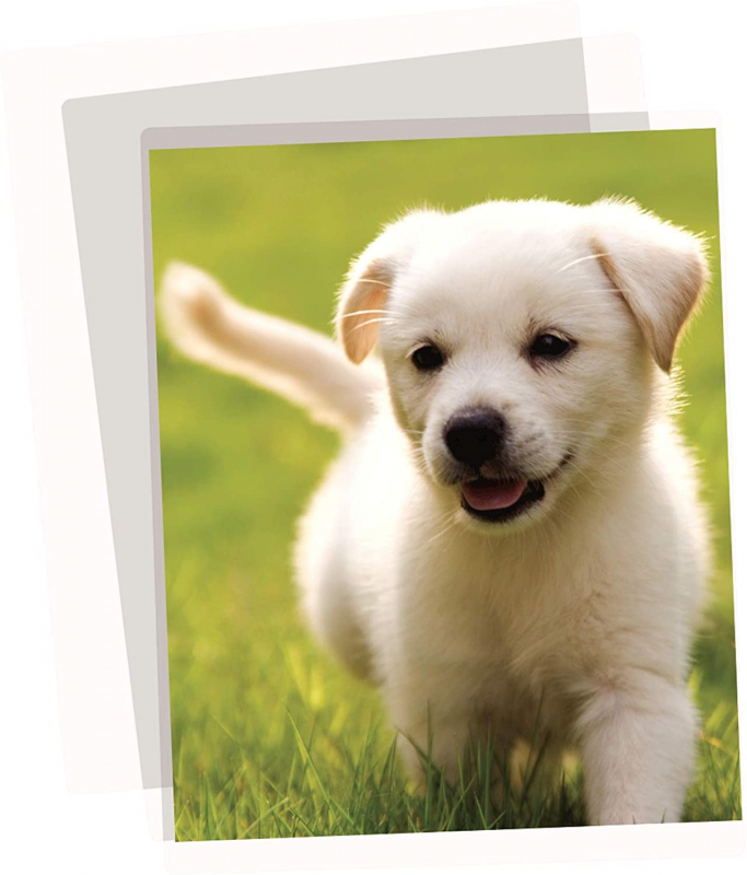 Imagen extra Fellowes Apex Pack de 100 Fundas Plastificar A3 125 MicrasAcabado Transparente