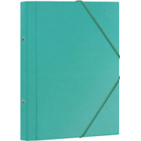 Dohe Carpeta Clasificadora 12 Departamentos Folio Carton Plastificado Cierre con Gomas Verde Claro