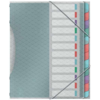 Esselte Colour'Breeze Clasificador con 12 Pestañas Multi- Para A4 3 Solapas en la Contraportada Polpropileno en Relieve Cierre con Goma Elastica Translucido