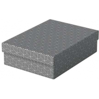 Esselte PACK 3 Cajas Medianas de Almacenamiento con Tapa 265x100x360mm Diseño Gris con Dibujo