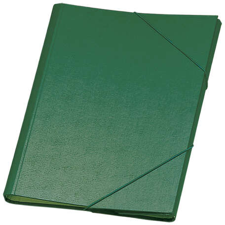 Dohe Carpeta Clasificadora 12 Departamentos Folio Carton Plastificado Cierre con Gomas Verde