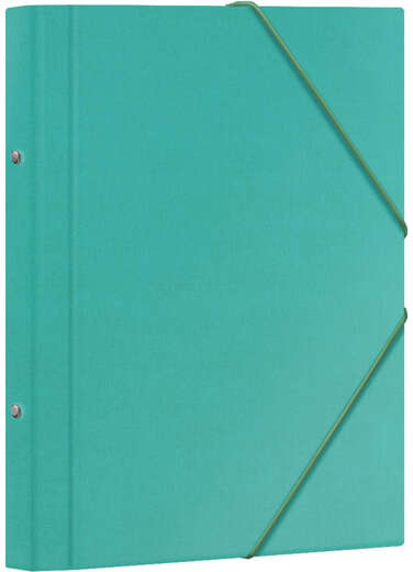 Dohe Carpeta Clasificadora 12 Departamentos Folio Carton Plastificado Cierre con Gomas Verde Claro