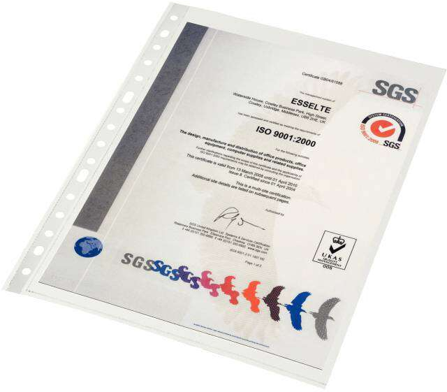 PACK 10 Fundas Esselte Porta Documentos FOLIO Piel de Naranja Calidad Estandar Multitaladro-16.