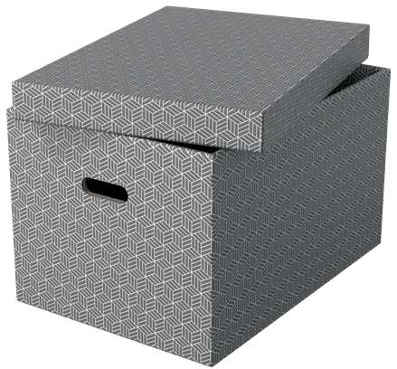 Imagen extra Esselte PACK 3 Cajas Grandes de Almacenamiento con Tapa 355x305x510mm con Asas. Diseño Gris con Dibujo