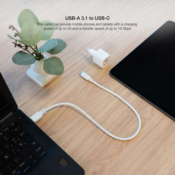 Imagen extra Nanocable Cable USB 3.1 Gen2 10Gbps 3A USB-C Macho a USB-A Macho - 50cm - Blanco