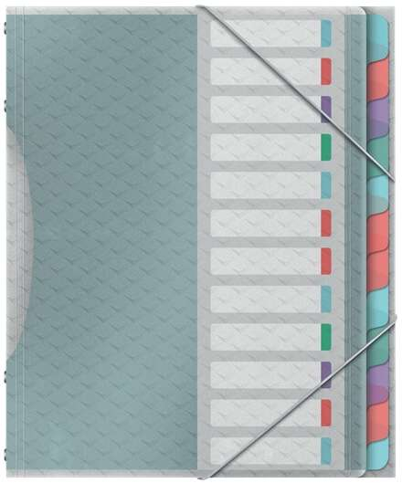 Esselte Colour'Breeze Clasificador con 12 Pestañas Multi- Para A4 3 Solapas en la Contraportada Polpropileno en Relieve Cierre con Goma Elastica Translucido