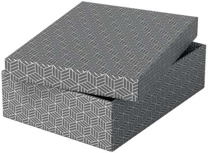 Imagen extra Esselte PACK 3 Cajas Medianas de Almacenamiento con Tapa 265x100x360mm Diseño Gris con Dibujo