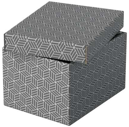 Imagen extra Esselte PACK 3 Cajas Pequeñas de Almacenamiento con Tapa 200x150x255mm Diseño Gris con Dibujo