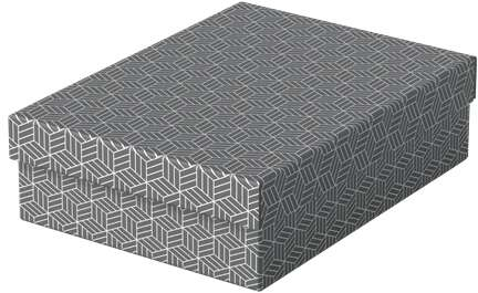 Esselte PACK 3 Cajas Medianas de Almacenamiento con Tapa 265x100x360mm Diseño Gris con Dibujo