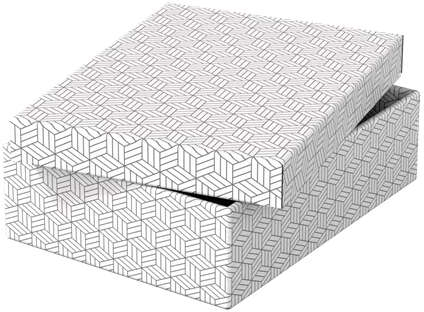 Imagen extra Esselte PACK 3 Cajas Medianas de Almacenamiento con Tapa 265x100x360mm Diseño Blanco con Dibujo