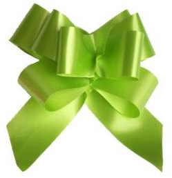 LAZO AUTOMATICO 2200 31MM VERDE