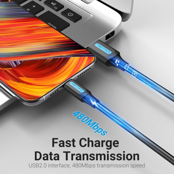 Imagen extra Vention Cable USB 2.0 Macho a USB-C Macho - 5A - 100W - 480Mbps - 0.25m - Negro