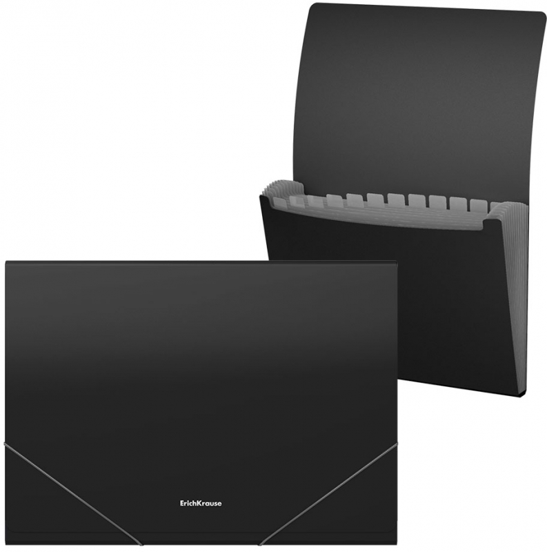 Carpeta clasificadora A4 de 13 separadores. Negro