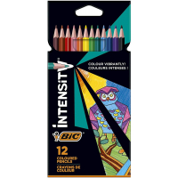 Bic Intensity Color Up - Caja de 12 Lapices Triangulares de colores