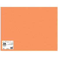 PACK 25 Cartulinas 50x65 cm 180gr NARANJA. 