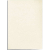 Fellowes PACK 100 Portadas de Carton Simil Piel Delta Cuero A4 250 gr Marfil