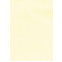 20 Hojas de Papel Verjurado - 220gr - Apto impresora y escritura - Crema. APLI