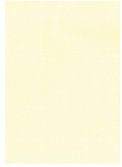 20 Hojas de Papel Verjurado - 220gr - Apto impresora y escritura - Crema. APLI