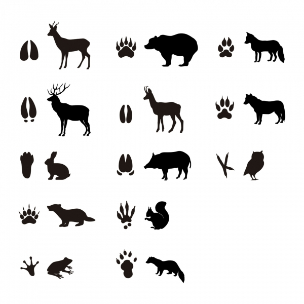 Imagen extra Apli Rollo de Gomets Huellas de Animales del Bosque