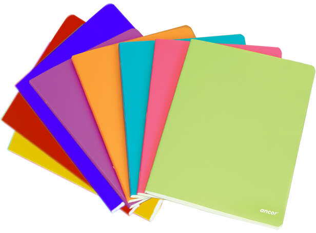 Libreta grapada A4 Cuadriculado 5x5mm - 48 Hojas 90gr - Tapa Plastico