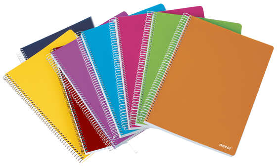 Cuaderno FOLIO Cuadriculado 4x4mm - 80 Hojas 90gr - Tapa de Plastico