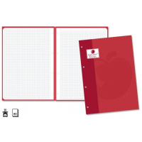 Recambio de 80 Hojas A4 de 90gr Cuadricula 4x4 con 4 Taladros. Rojo