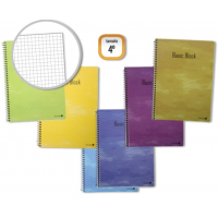 PACK 10 Cuadernos ECONOMICOS 4º Cuarto 80 Hojas 60gr Cuadriculado- Tapa Normal Plastificada